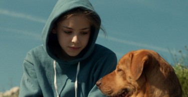 Az észak-amerikai mozikban is játszák a Fehér Istent