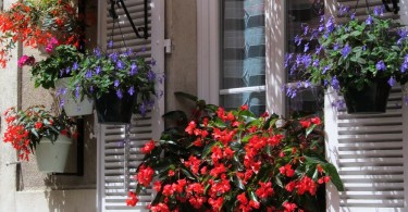 Tavasz végéig lehet jelentkezni a Virágos Magyarországért versenyre