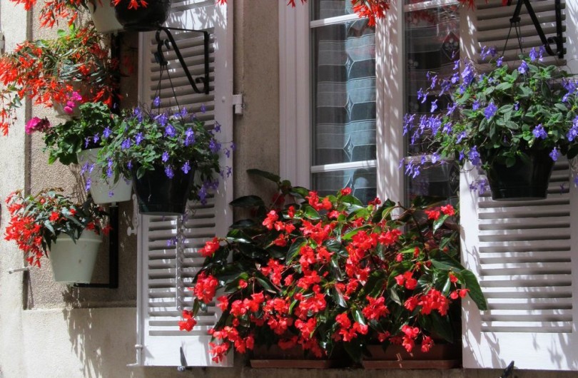 Tavasz végéig lehet jelentkezni a Virágos Magyarországért versenyre