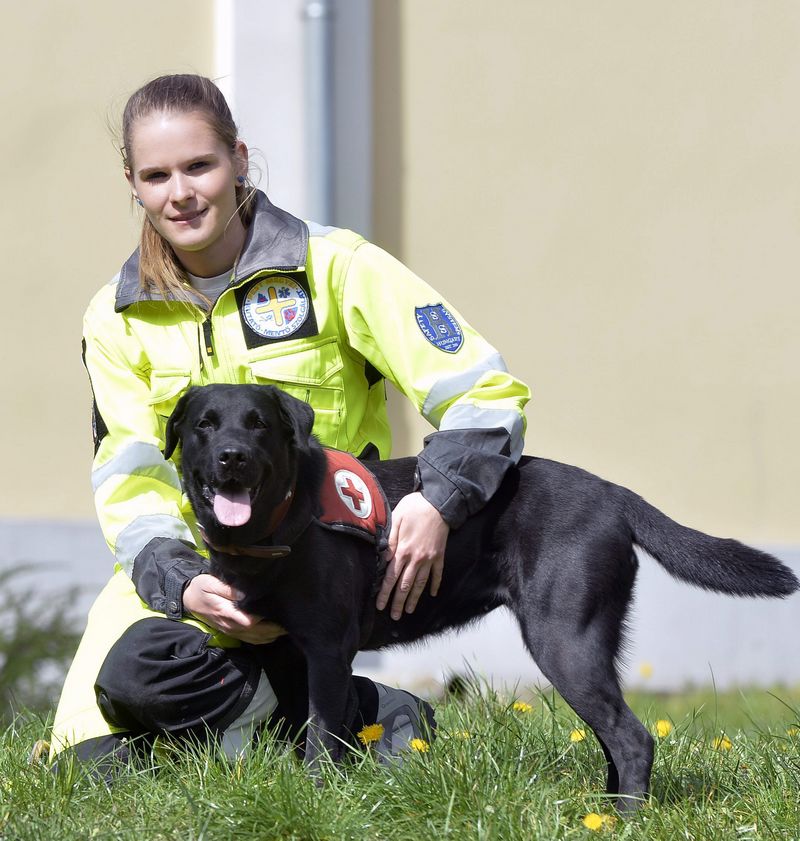 A világ egyik legjobb mentőkutyája lett Drazsé