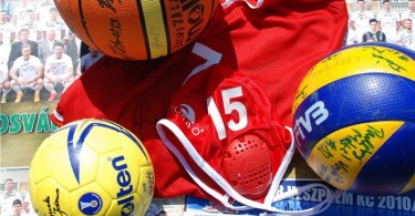 Első Fonyódi Sport és Egészségnap