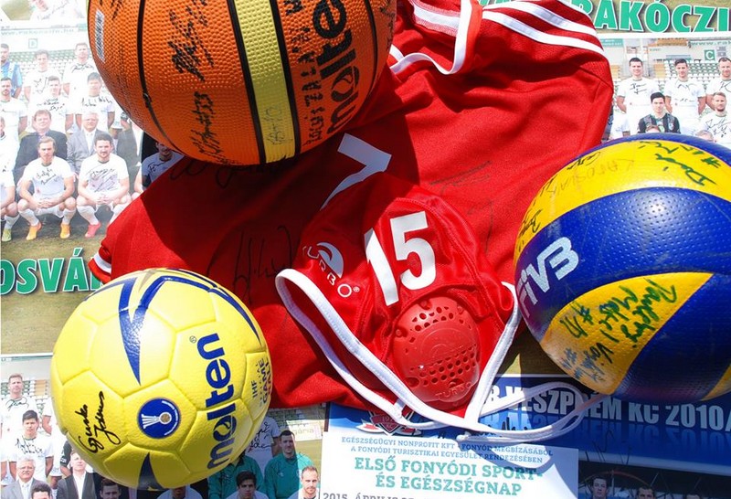 Első Fonyódi Sport és Egészségnap