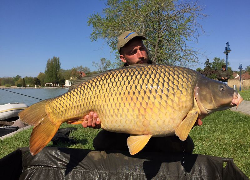 Nemzetközi Balatoni Pontyfogó Kupa
