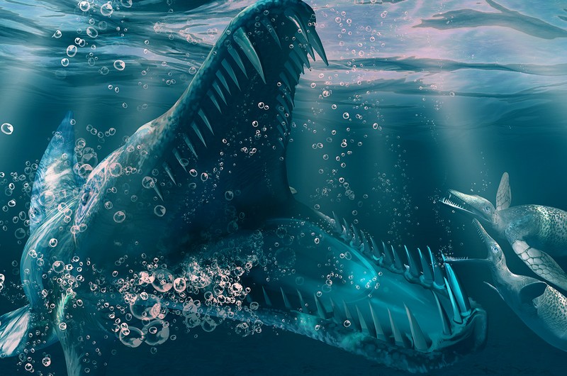 Kronosaurus