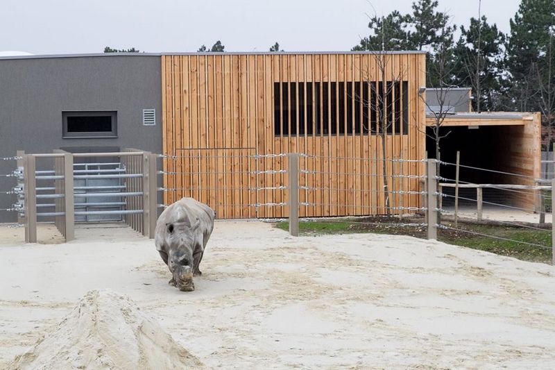 Orrszarvúház Veszprémi Állatkert