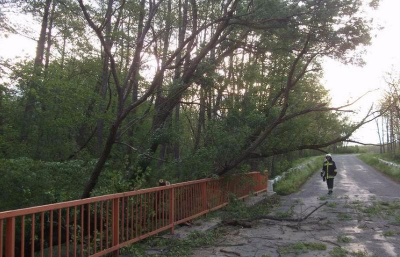 Nem kímélte a déli-partot a vihar