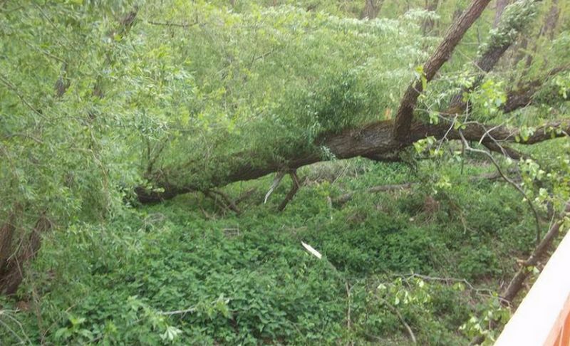 Nem kímélte a déli-partot a vihar