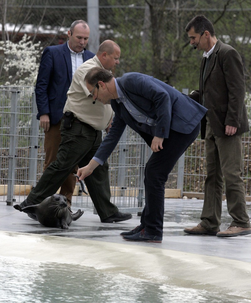 Veszprémi Állatkert