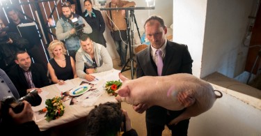 Miss Zselicvölgye a disznóól szépe