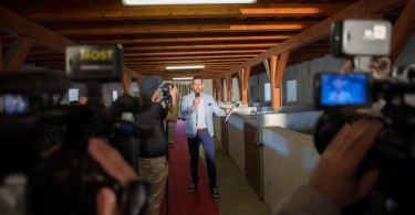 Miss Zselicvölgye a disznóól szépe