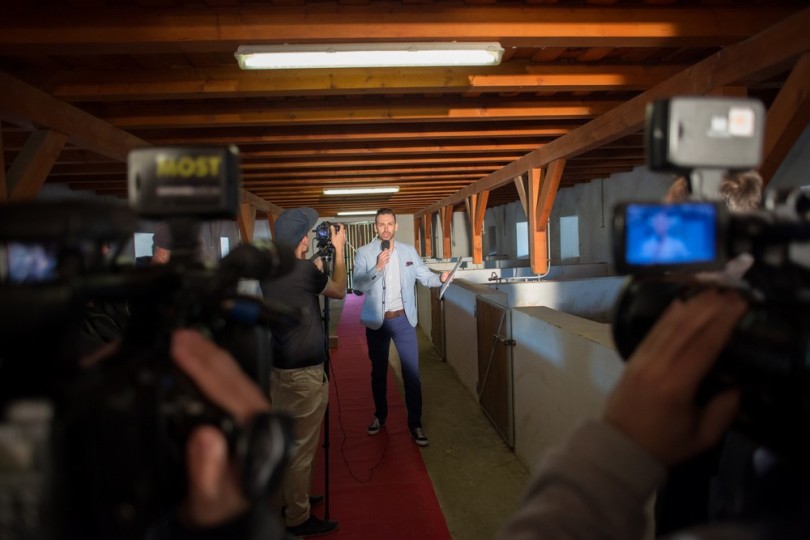 Miss Zselicvölgye a disznóól szépe