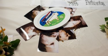 Miss Zselicvölgye a disznóól szépe