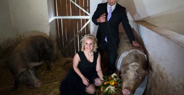 Miss Zselicvölgye a disznóól szépe