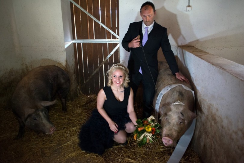 Miss Zselicvölgye a disznóól szépe