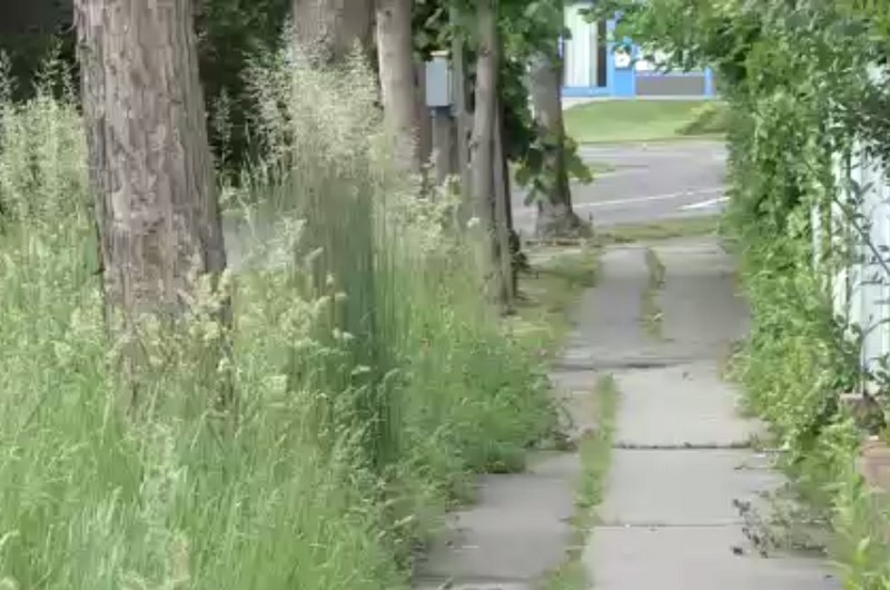 Keszthely belterületén 950 ezer négyzetméter zöldfelület van.
