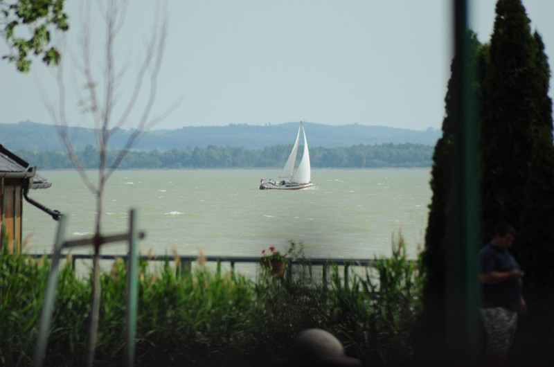 Balaton Napja