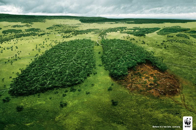 WWF Környezetvédelmi Világnap