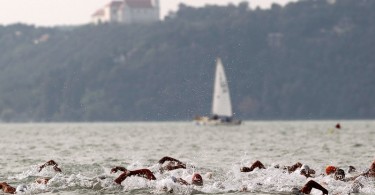 Nyíltvízi úszók - Balatonfüred