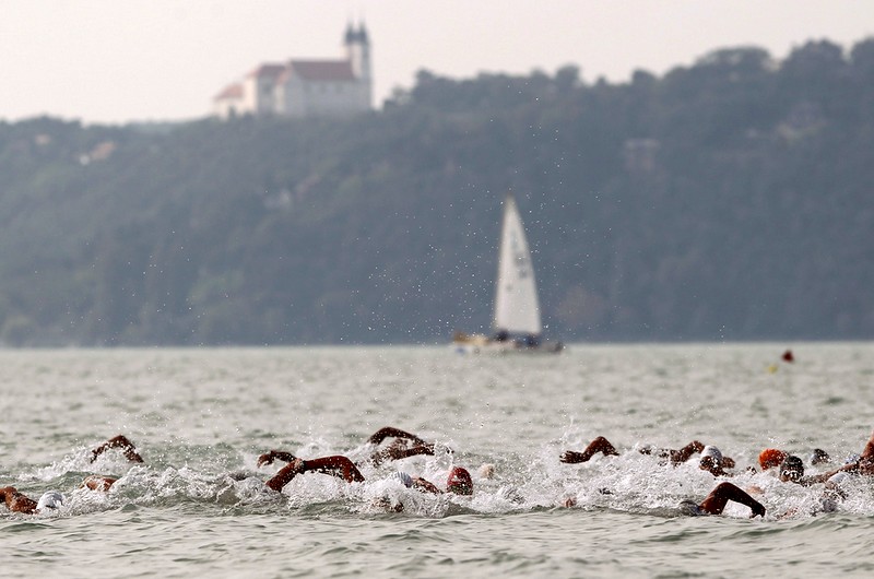Nyíltvízi úszók - Balatonfüred