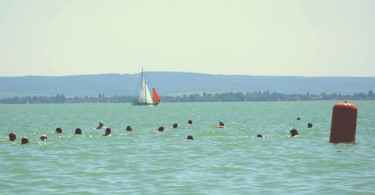 Balaton-átúszás 2014